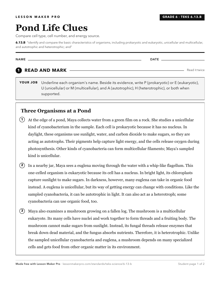 Preview of the 6.13.B printable worksheet
