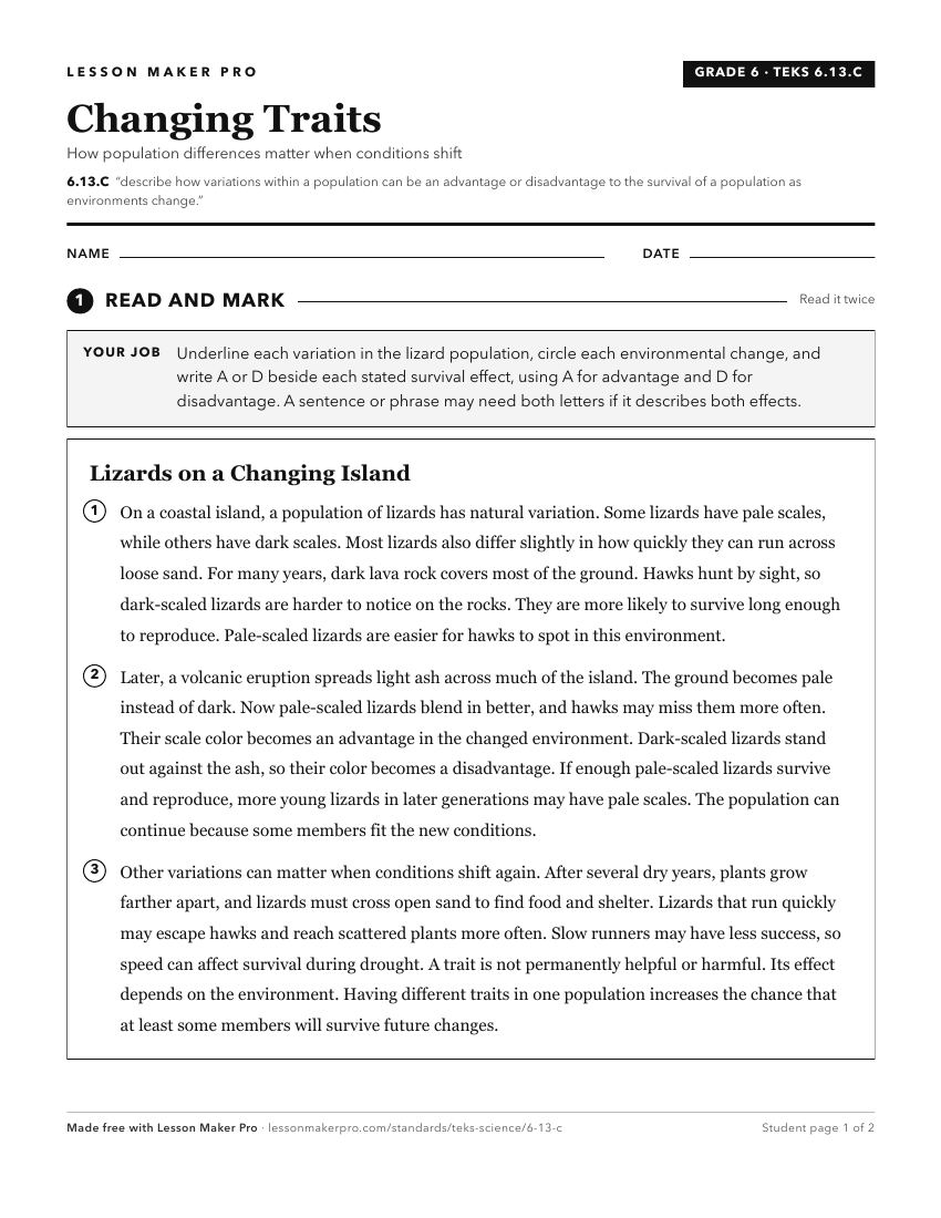 Preview of the 6.13.C printable worksheet
