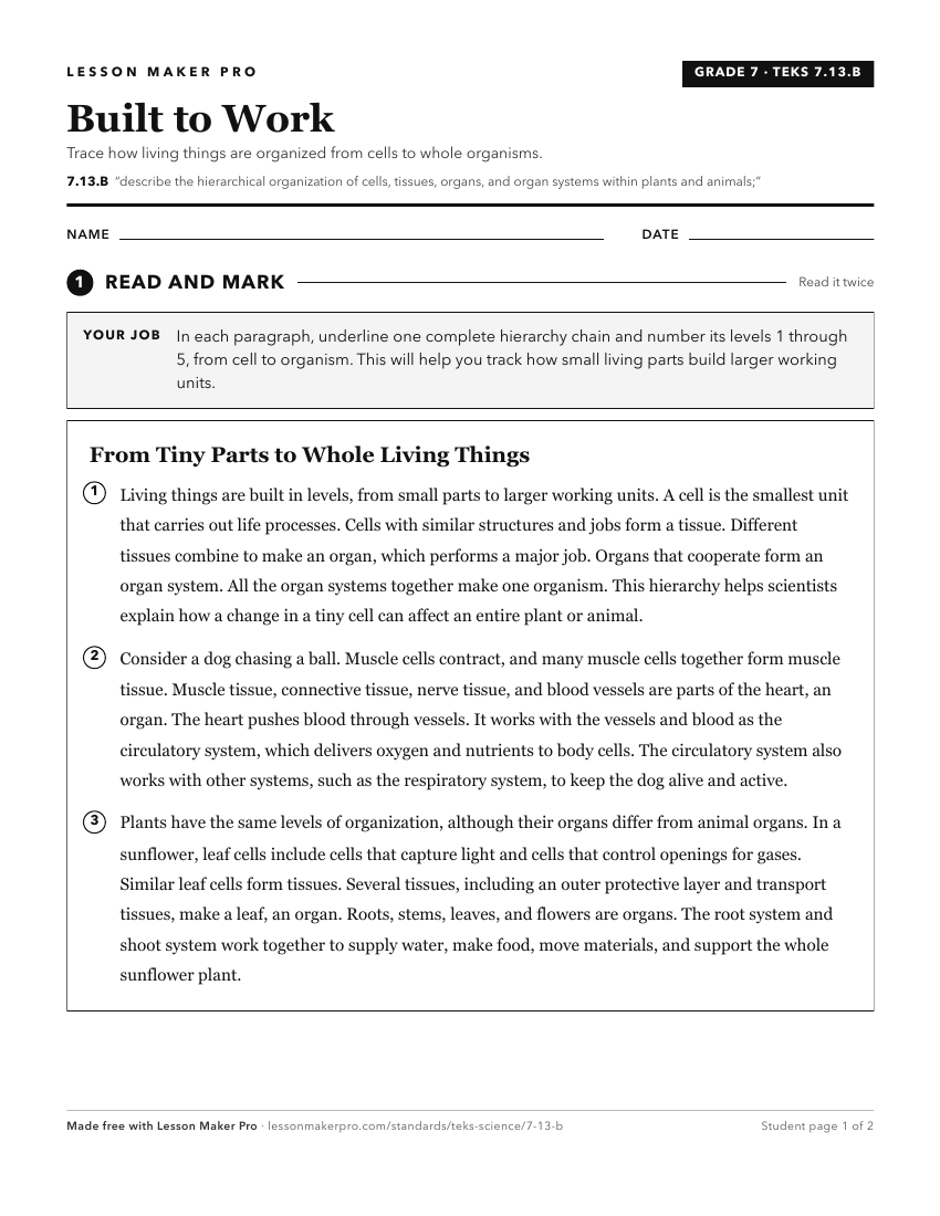 Preview of the 7.13.B printable worksheet
