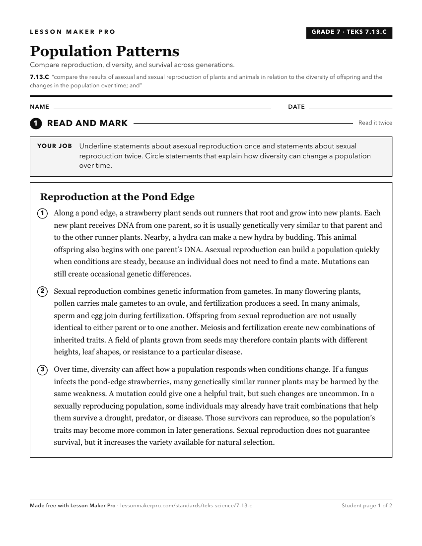 Preview of the 7.13.C printable worksheet