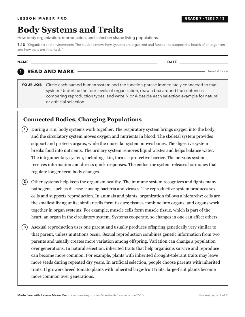 Preview of the 7.13 printable worksheet