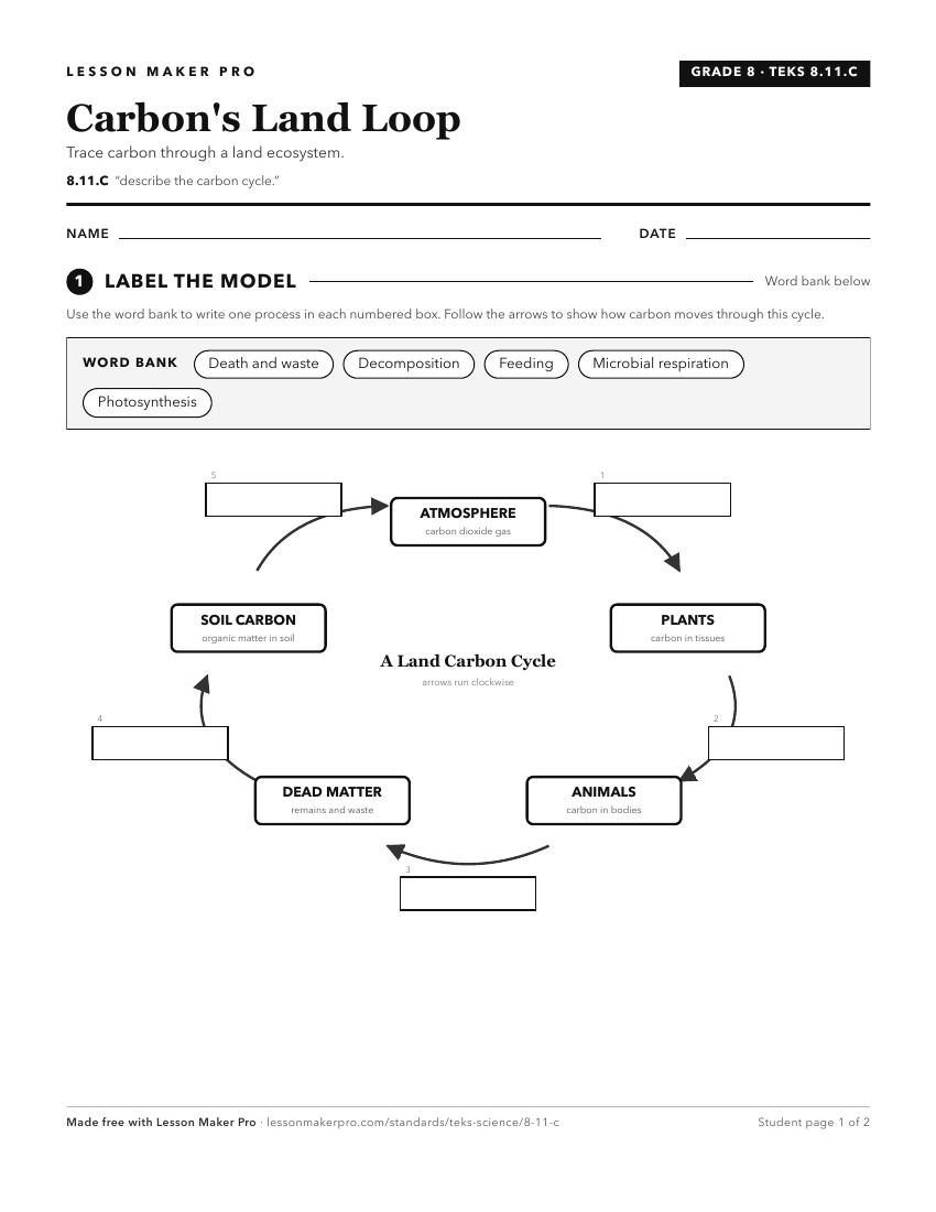 Preview of the 8.11.C printable worksheet