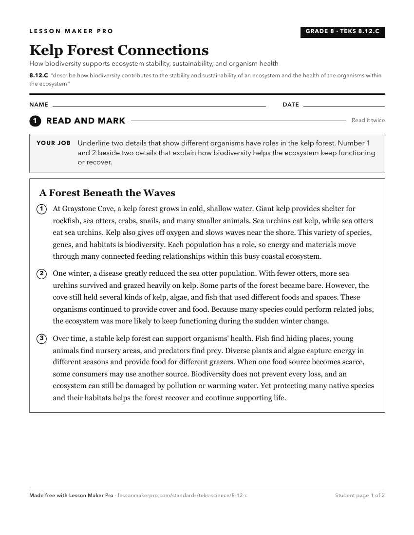Preview of the 8.12.C printable worksheet