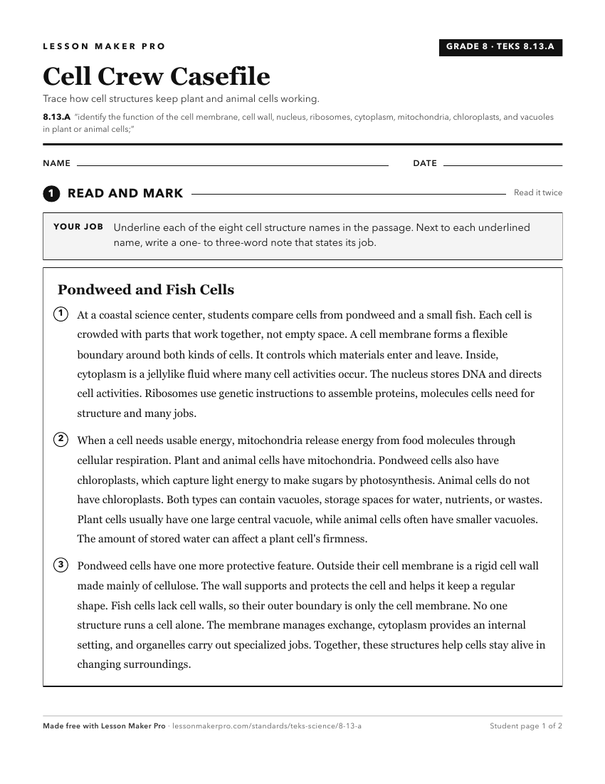 Preview of the 8.13.A printable worksheet