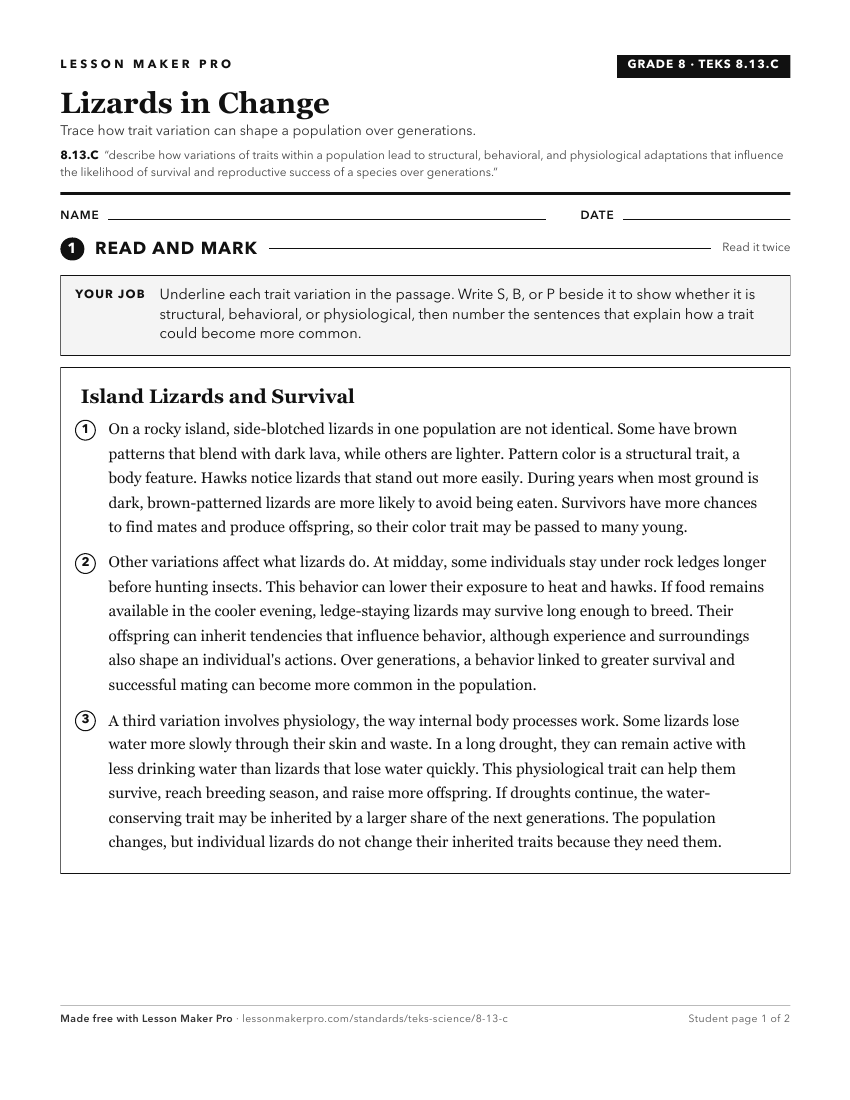 Preview of the 8.13.C printable worksheet