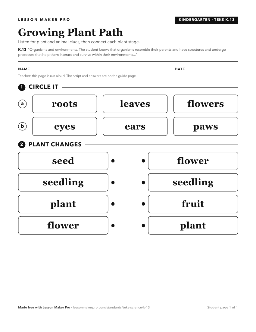Preview of the K.13 printable worksheet