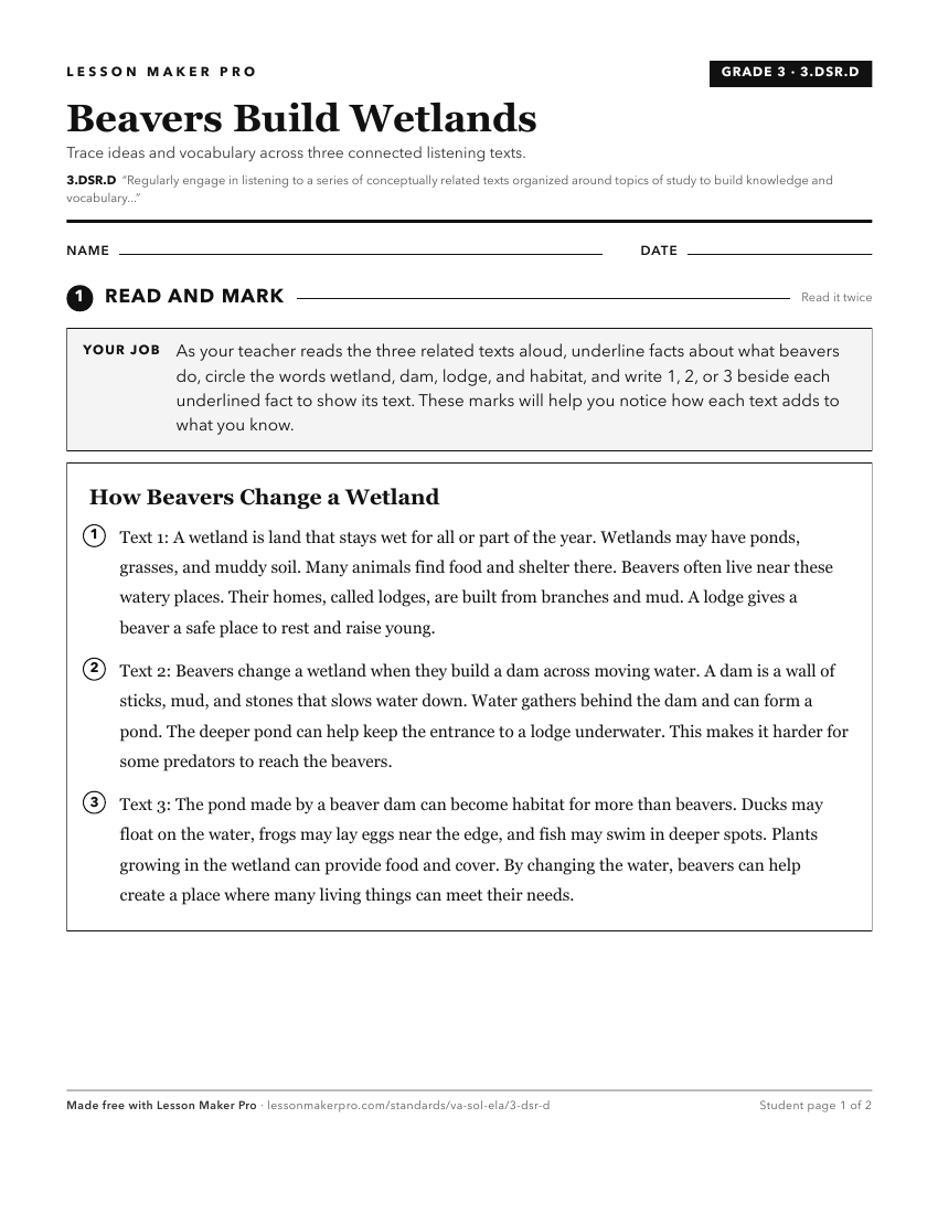 Preview of the 3.DSR.D printable worksheet
