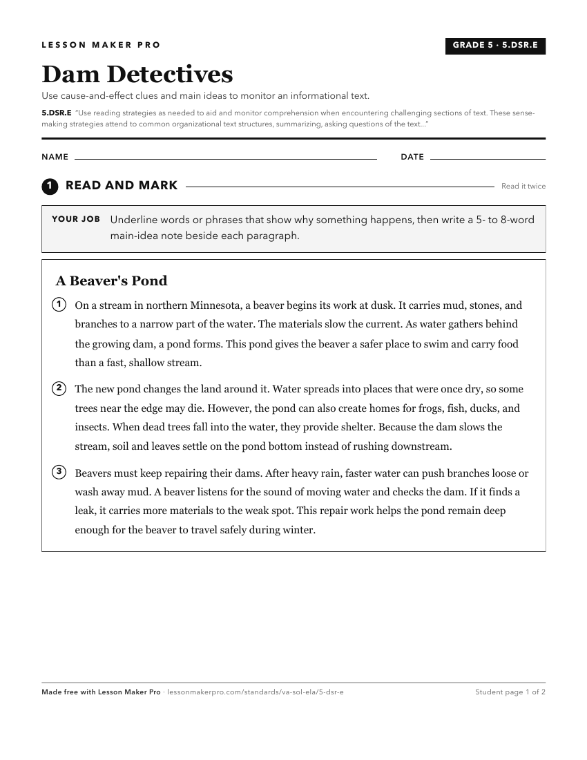 Preview of the 5.DSR.E printable worksheet