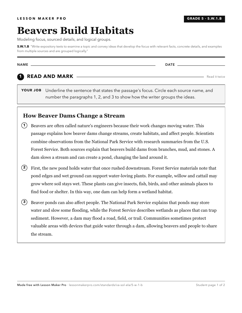 Preview of the 5.W.1.B printable worksheet
