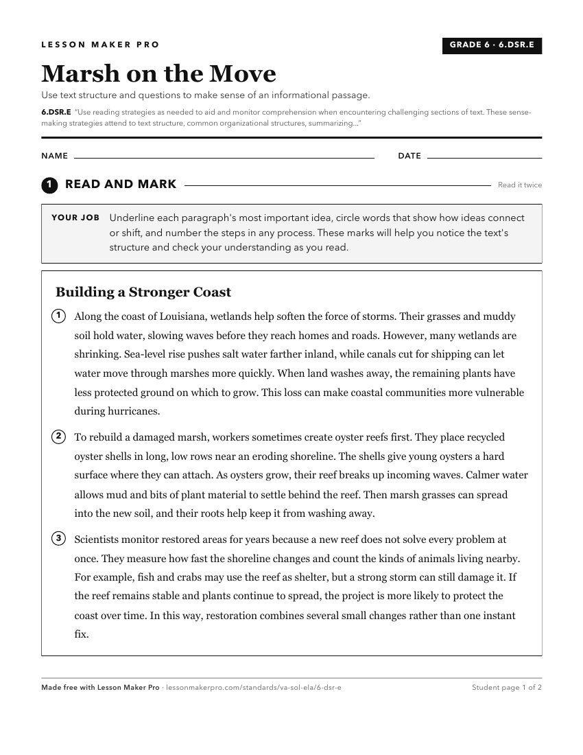 Preview of the 6.DSR.E printable worksheet