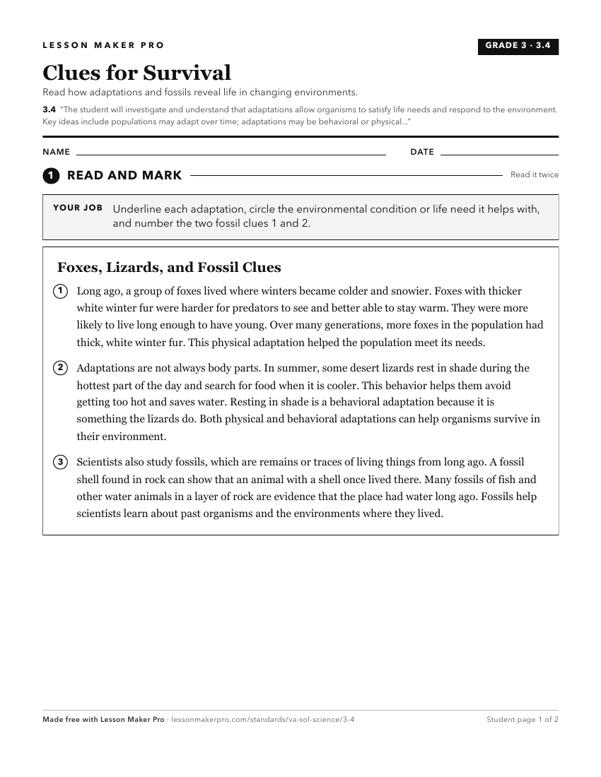 Preview of the 3.4 printable worksheet