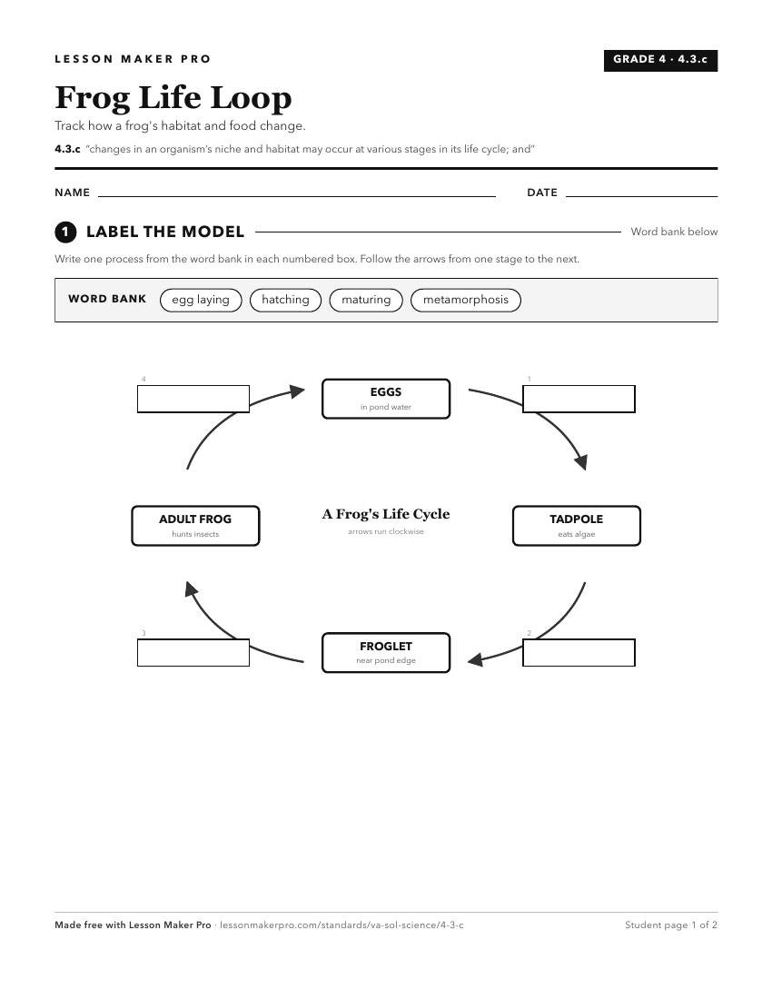 Preview of the 4.3.c printable worksheet