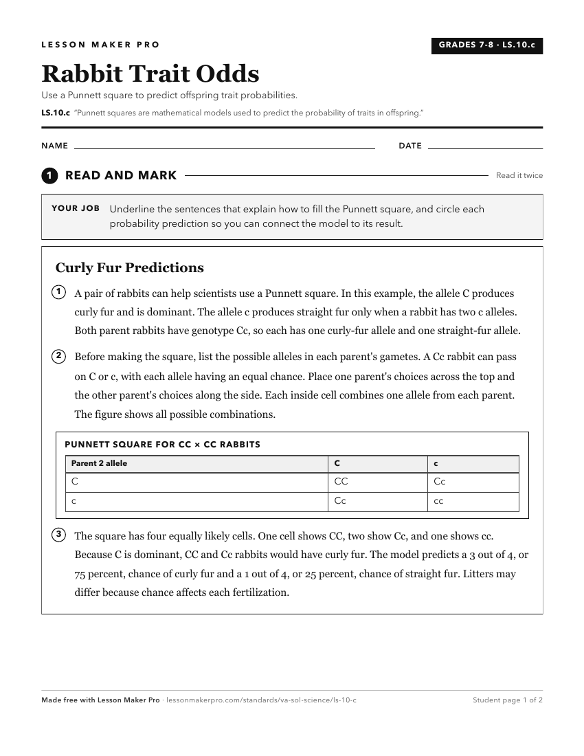 Preview of the LS.10.c printable worksheet