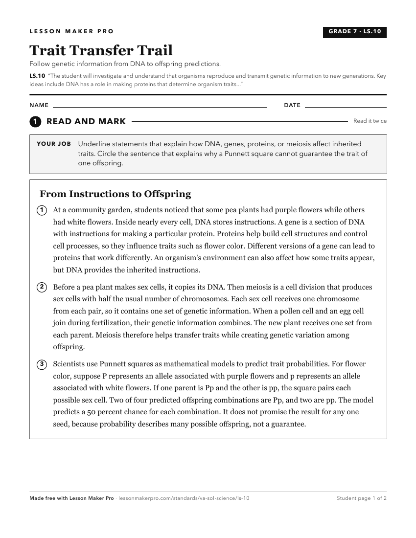 Preview of the LS.10 printable worksheet