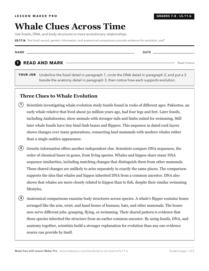 Preview of the LS.11.b printable worksheet