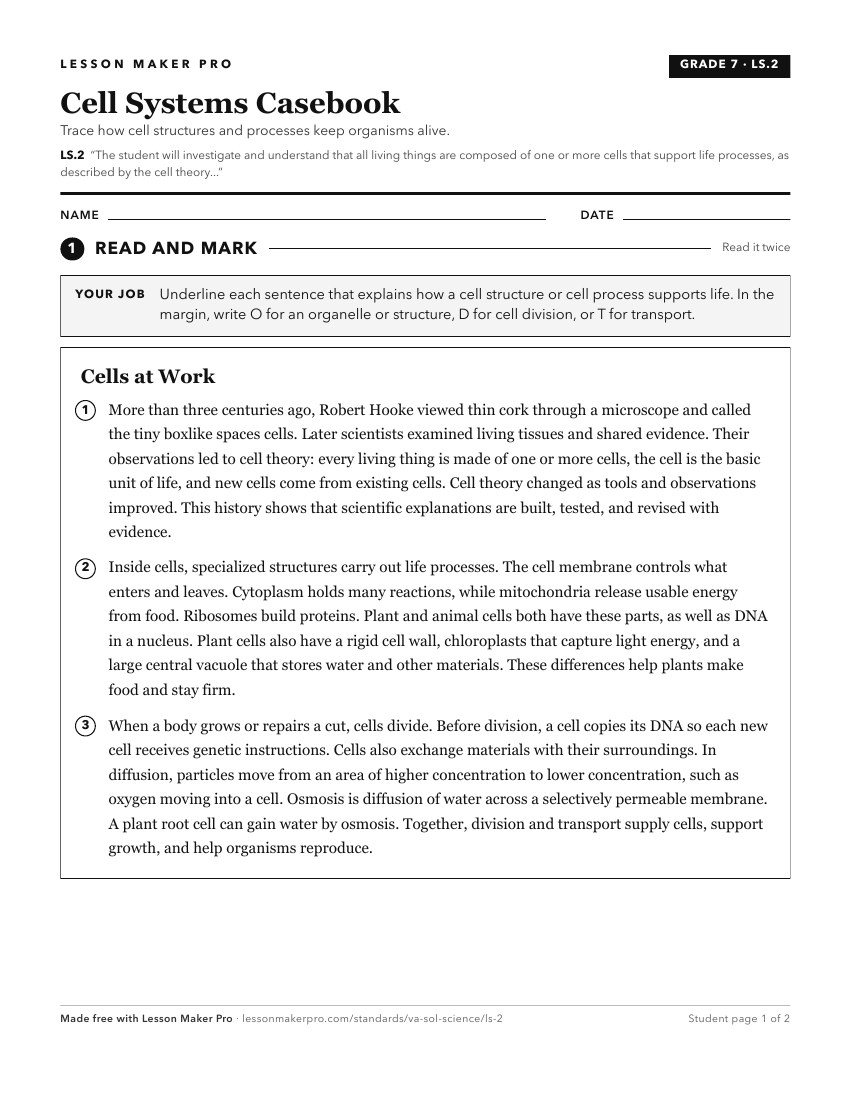 Preview of the LS.2 printable worksheet