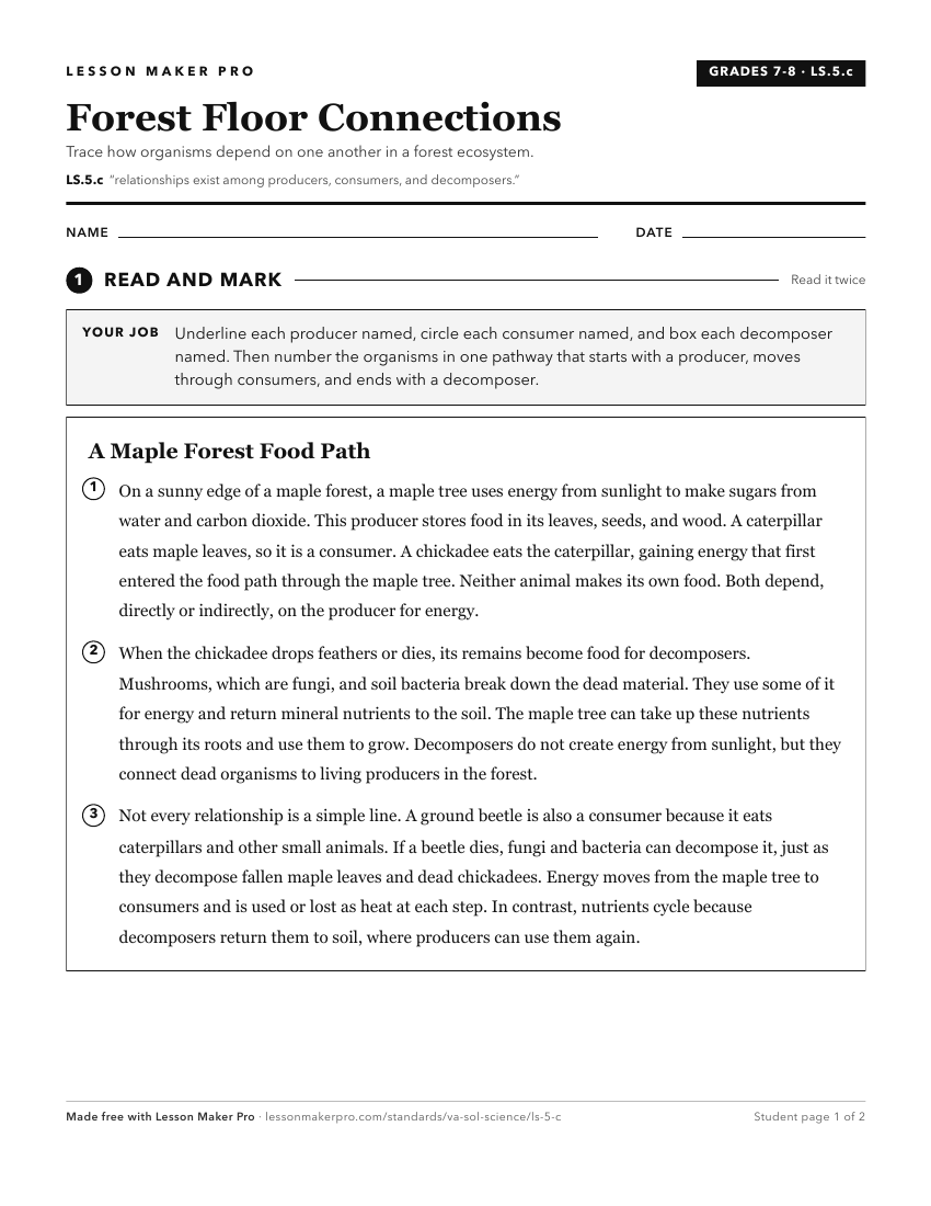 Preview of the LS.5.c printable worksheet