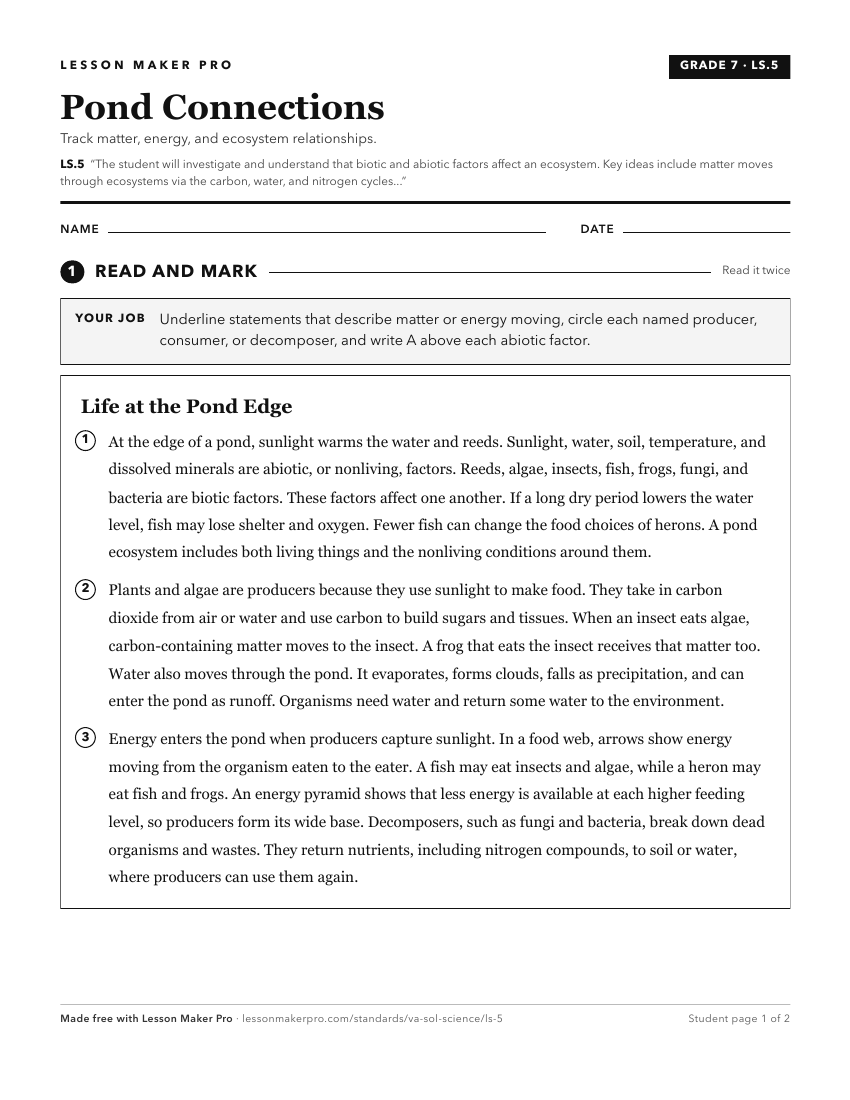 Preview of the LS.5 printable worksheet
